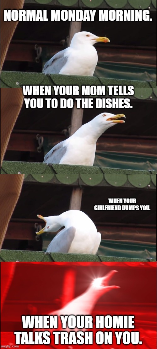 Seagull. | NORMAL MONDAY MORNING. WHEN YOUR MOM TELLS YOU TO DO THE DISHES. WHEN YOUR GIRLFRIEND DUMPS YOU. WHEN YOUR HOMIE TALKS TRASH ON YOU. | image tagged in memes,inhaling seagull | made w/ Imgflip meme maker