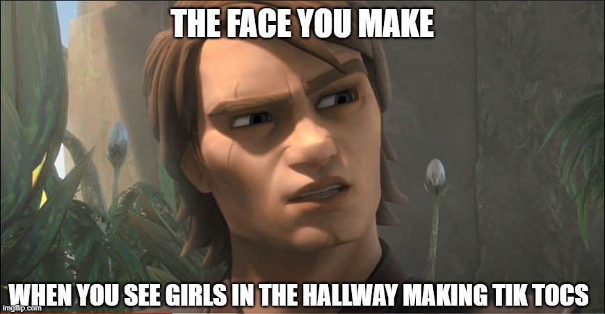 Anakin Questions Reality | THE FACE YOU MAKE; WHEN YOU SEE GIRLS IN THE HALLWAY MAKING TIK TOCS | image tagged in anakin questions reality | made w/ Imgflip meme maker
