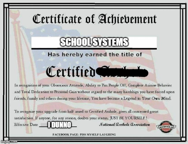 Certified Asshole | SCHOOL SYSTEMS I DUNNO | image tagged in certified asshole | made w/ Imgflip meme maker