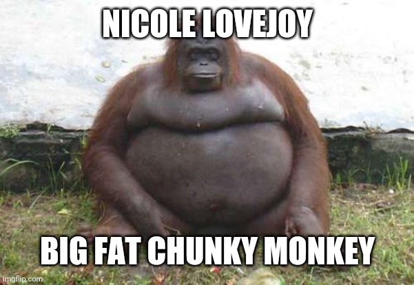 NICOLE LOVEJOY; BIG FAT CHUNKY MONKEY | made w/ Imgflip meme maker