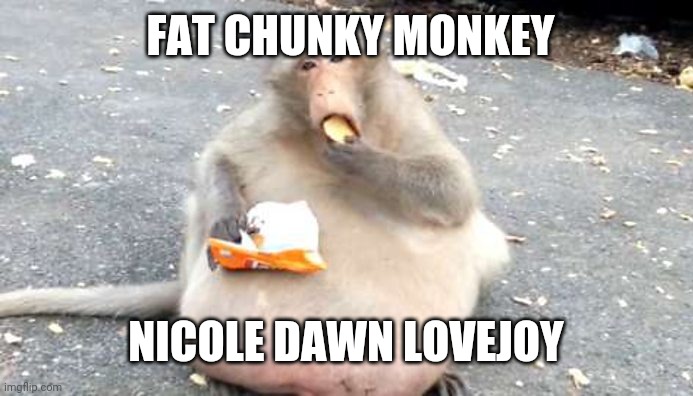 FAT CHUNKY MONKEY; NICOLE DAWN LOVEJOY | made w/ Imgflip meme maker