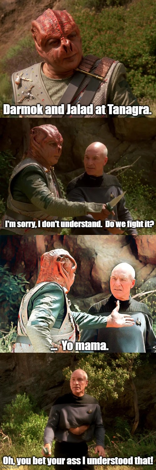 Some statements transcend different races. | Darmok and Jalad at Tanagra. I'm sorry, I don't understand.  Do we fight it? ...  Yo mama. Oh, you bet your ass I understood that! | image tagged in star trek the next generation,captain picard,darmok | made w/ Imgflip meme maker