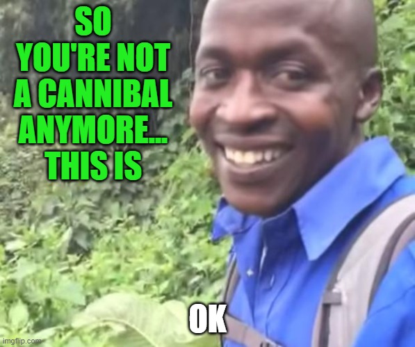 Ok Guy | SO YOU'RE NOT A CANNIBAL ANYMORE... THIS IS OK | image tagged in ok guy | made w/ Imgflip meme maker
