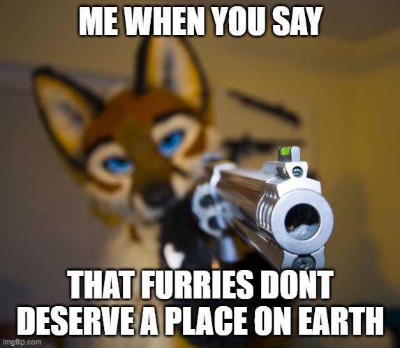 Furry with gun | ME WHEN YOU SAY; THAT FURRIES DONT DESERVE A PLACE ON EARTH | image tagged in furry with gun | made w/ Imgflip meme maker