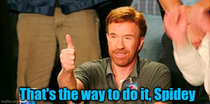 chuck norris thanks you | That's the way to do it, Spidey | image tagged in chuck norris thanks you | made w/ Imgflip meme maker