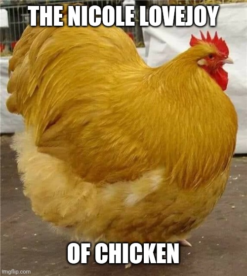 THE NICOLE LOVEJOY; OF CHICKEN | made w/ Imgflip meme maker