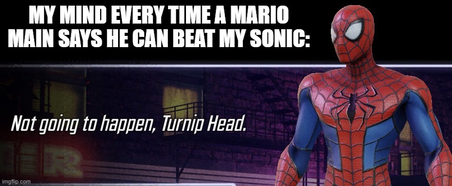 New template! | MY MIND EVERY TIME A MARIO MAIN SAYS HE CAN BEAT MY SONIC: | image tagged in not going to happen turnip head,super smash bros,sonic the hedgehog,super mario | made w/ Imgflip meme maker