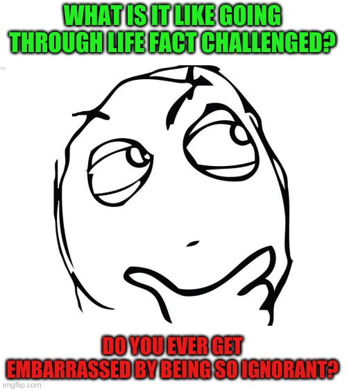 Question Rage Face Meme | WHAT IS IT LIKE GOING THROUGH LIFE FACT CHALLENGED? DO YOU EVER GET EMBARRASSED BY BEING SO IGNORANT? | image tagged in memes,question rage face | made w/ Imgflip meme maker