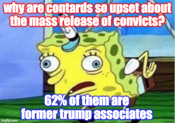 Mocking Spongebob | why are contards so upset about
the mass release of convicts? 62% of them are former trump associates | image tagged in memes,mocking spongebob,contards,covid-19,open your eyes | made w/ Imgflip meme maker