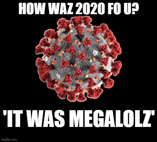 megalolz covid | HOW WAZ 2020 FO U? 'IT WAS MEGALOLZ' | image tagged in covid-19,megalolz | made w/ Imgflip meme maker