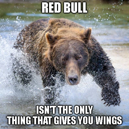 Red Bull meme | RED BULL; ISN'T THE ONLY THING THAT GIVES YOU WINGS | image tagged in memes | made w/ Imgflip meme maker