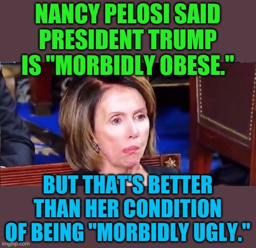 At least obesity can be treated...... | NANCY PELOSI SAID PRESIDENT TRUMP IS "MORBIDLY OBESE."; BUT THAT'S BETTER THAN HER CONDITION OF BEING "MORBIDLY UGLY." | image tagged in nancy pelosi | made w/ Imgflip meme maker