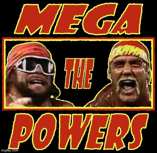 The Mega Powers | image tagged in hulk hogan | made w/ Imgflip meme maker