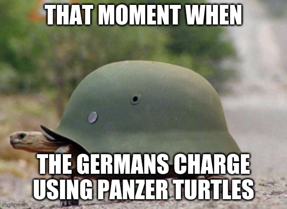 THAT MOMENT WHEN; THE GERMANS CHARGE USING PANZER TURTLES | image tagged in funny memes | made w/ Imgflip meme maker