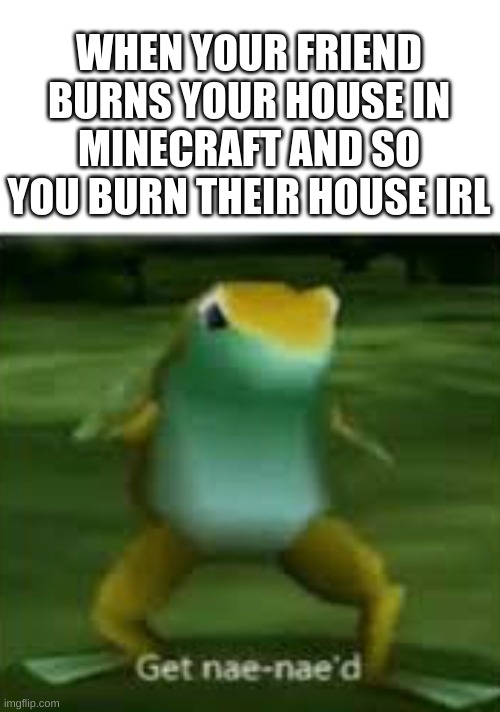 get nae nae'd | WHEN YOUR FRIEND BURNS YOUR HOUSE IN MINECRAFT AND SO YOU BURN THEIR HOUSE IRL | image tagged in get nae nae'd,memes | made w/ Imgflip meme maker
