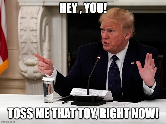 Trump wants a ball | HEY , YOU! TOSS ME THAT TOY, RIGHT NOW! | image tagged in trumpcatch | made w/ Imgflip meme maker