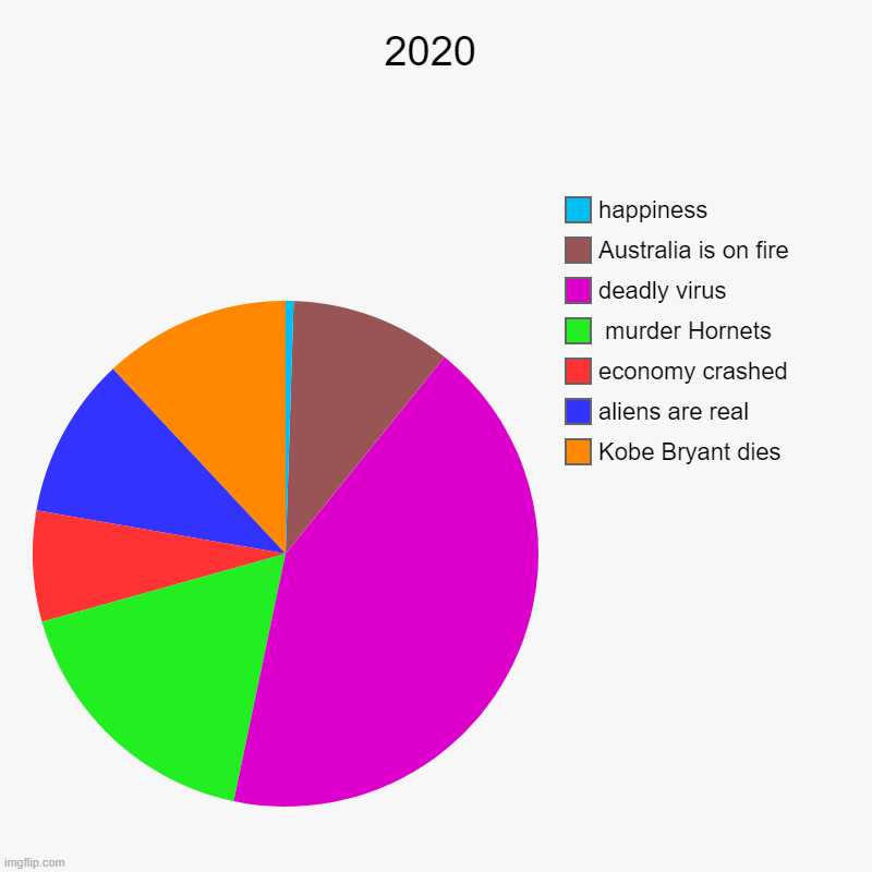 2020 | Kobe Bryant dies , aliens are real, economy crashed,  murder Hornets, deadly virus, Australia is on fire , happiness | image tagged in charts,pie charts | made w/ Imgflip chart maker