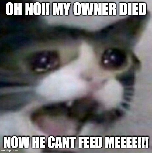 crying cat | OH NO!! MY OWNER DIED; NOW HE CANT FEED MEEEE!!! | image tagged in crying cat | made w/ Imgflip meme maker