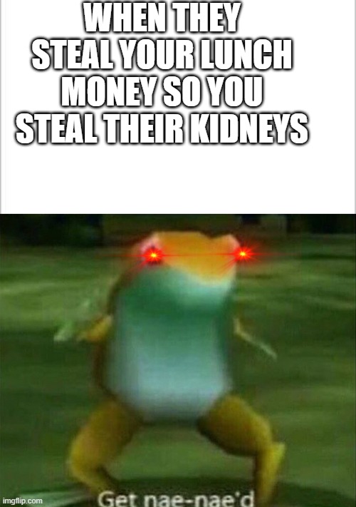 WHEN THEY STEAL YOUR LUNCH MONEY SO YOU STEAL THEIR KIDNEYS | image tagged in white background,get nae-nae'd | made w/ Imgflip meme maker