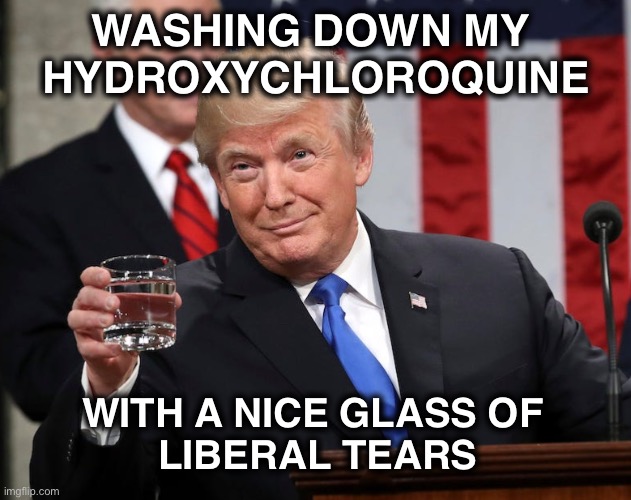 Toast! | WASHING DOWN MY 
HYDROXYCHLOROQUINE; WITH A NICE GLASS OF 
LIBERAL TEARS | image tagged in hydroxychloroquine,liberal tears | made w/ Imgflip meme maker