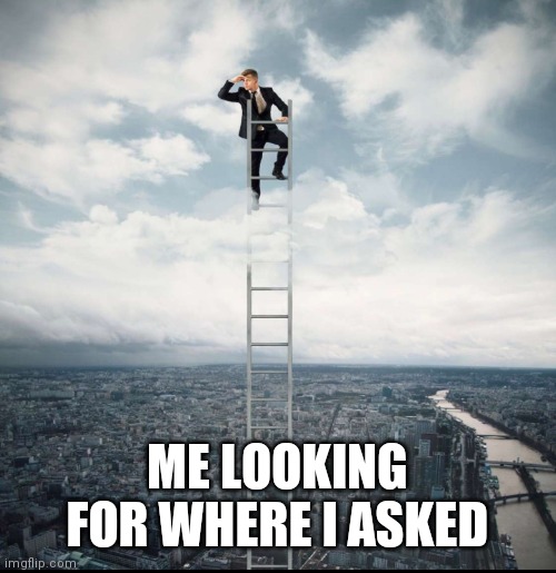 Man on ladder | ME LOOKING FOR WHERE I ASKED | image tagged in man looking on ladder | made w/ Imgflip meme maker
