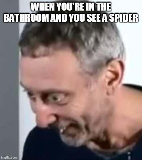 When Michael Rosen realised | WHEN YOU'RE IN THE BATHROOM AND YOU SEE A SPIDER | image tagged in when michael rosen realised | made w/ Imgflip meme maker