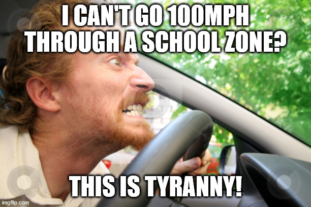 To the people not wearing masks | I CAN'T GO 100MPH THROUGH A SCHOOL ZONE? THIS IS TYRANNY! | image tagged in bad driver,coronavirus,covid,politics,trump | made w/ Imgflip meme maker