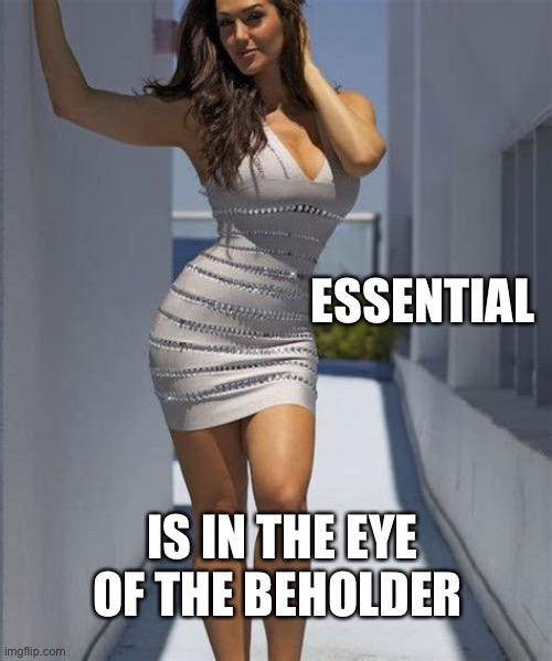 Essential, who decides? | ESSENTIAL; IS IN THE EYE OF THE BEHOLDER | image tagged in all dressed no place to go,lockdown | made w/ Imgflip meme maker