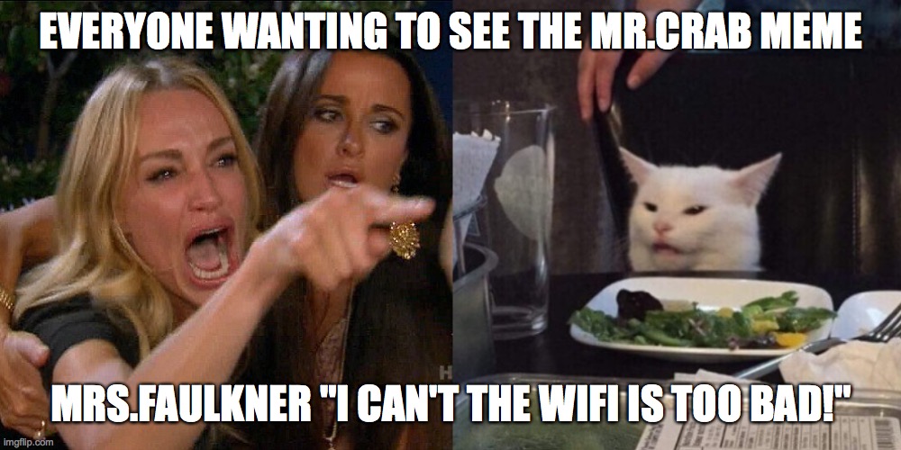 Woman yelling at cat | EVERYONE WANTING TO SEE THE MR.CRAB MEME; MRS.FAULKNER "I CAN'T THE WIFI IS TOO BAD!" | image tagged in woman yelling at cat | made w/ Imgflip meme maker