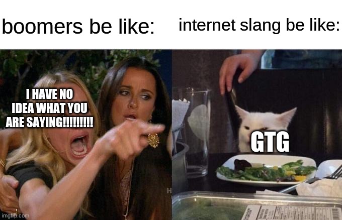 Woman Yelling At Cat Meme | internet slang be like:; boomers be like:; I HAVE NO IDEA WHAT YOU ARE SAYING!!!!!!!!! GTG | image tagged in memes,woman yelling at cat | made w/ Imgflip meme maker