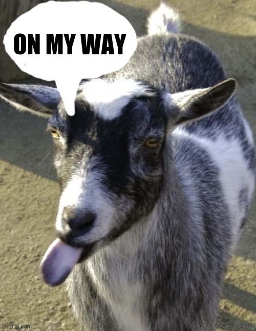 Long-tongued goat | ON MY WAY | image tagged in long-tongued goat | made w/ Imgflip meme maker