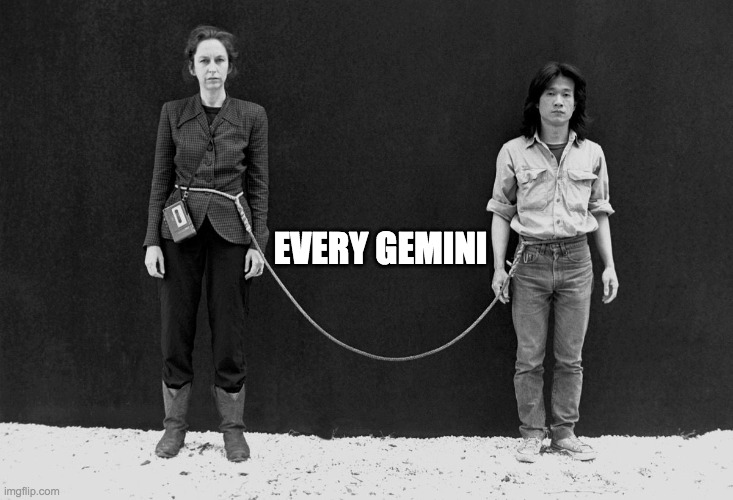 Every Gemini | EVERY GEMINI | image tagged in art memes,gemini,performance art,horoscope | made w/ Imgflip meme maker