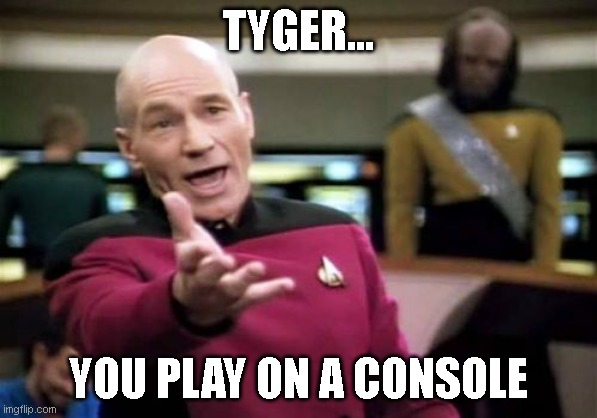 Picard Wtf Meme | TYGER... YOU PLAY ON A CONSOLE | image tagged in memes,picard wtf | made w/ Imgflip meme maker