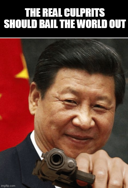 Xi Jinping | THE REAL CULPRITS SHOULD BAIL THE WORLD OUT | image tagged in xi jinping | made w/ Imgflip meme maker