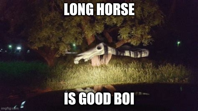 Long horse | LONG HORSE; IS GOOD BOI | image tagged in long horse | made w/ Imgflip meme maker
