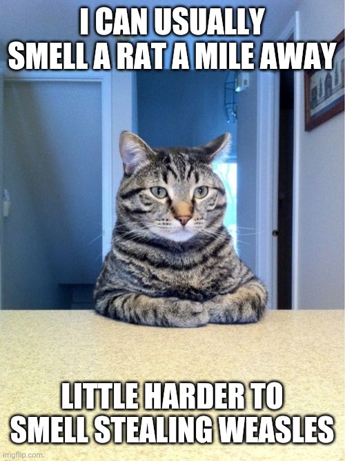 Take A Seat Cat | I CAN USUALLY SMELL A RAT A MILE AWAY; LITTLE HARDER TO SMELL STEALING WEASLES | image tagged in memes,take a seat cat | made w/ Imgflip meme maker