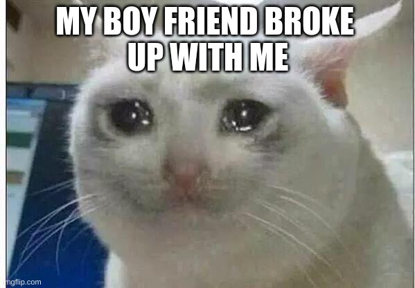 crying cat | MY BOY FRIEND BROKE 
UP WITH ME | image tagged in crying cat | made w/ Imgflip meme maker