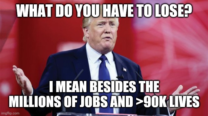 trump-question | WHAT DO YOU HAVE TO LOSE? I MEAN BESIDES THE MILLIONS OF JOBS AND >90K LIVES | image tagged in trump-question | made w/ Imgflip meme maker