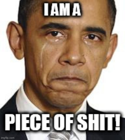 Obama realization... | image tagged in memes,obama,trump,michael flynn,democrat,spying | made w/ Imgflip meme maker