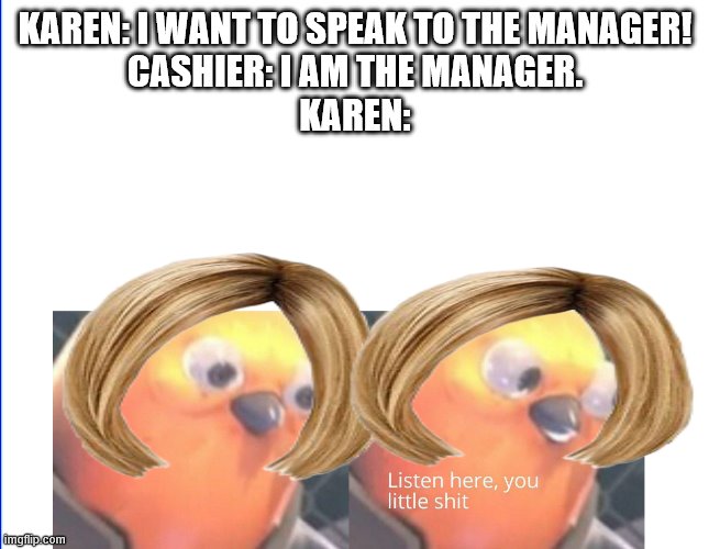 standard karen | KAREN: I WANT TO SPEAK TO THE MANAGER!
CASHIER: I AM THE MANAGER.
KAREN: | image tagged in listen here you little shit | made w/ Imgflip meme maker
