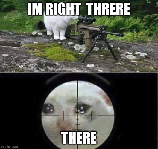Sniper cat aim crying cat | IM RIGHT  THRERE; THERE | image tagged in sniper cat aim crying cat | made w/ Imgflip meme maker