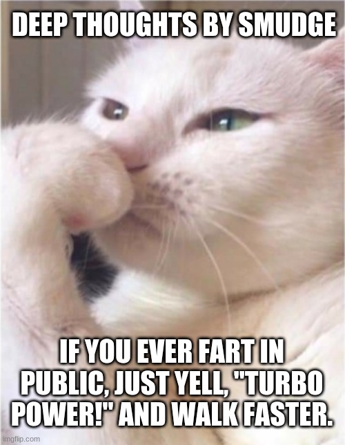 Turbo Power Fart | DEEP THOUGHTS BY SMUDGE; IF YOU EVER FART IN PUBLIC, JUST YELL, "TURBO POWER!" AND WALK FASTER. | image tagged in deep thoughts white cat,smudge the cat,smudge,deep thoughts | made w/ Imgflip meme maker