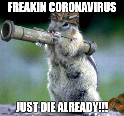 Bazooka Squirrel | FREAKIN CORONAVIRUS; JUST DIE ALREADY!!! | image tagged in memes,bazooka squirrel | made w/ Imgflip meme maker