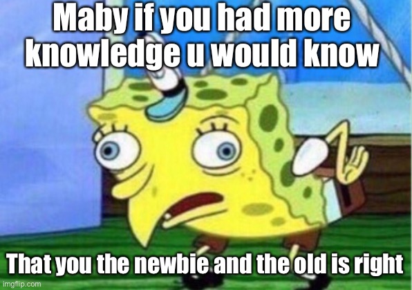 Mocking Spongebob | Maby if you had more  knowledge u would know; That you the newbie and the old is right | image tagged in memes,mocking spongebob | made w/ Imgflip meme maker