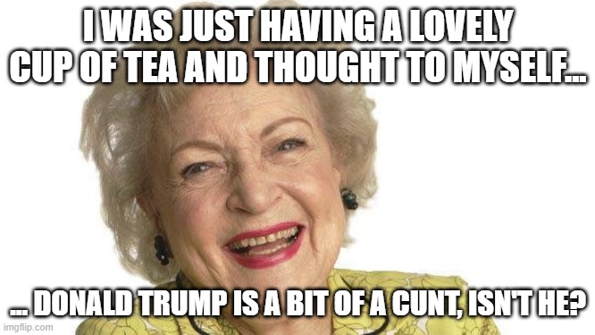 Betty White | I WAS JUST HAVING A LOVELY CUP OF TEA AND THOUGHT TO MYSELF... ... DONALD TRUMP IS A BIT OF A CUNT, ISN'T HE? | image tagged in betty white | made w/ Imgflip meme maker