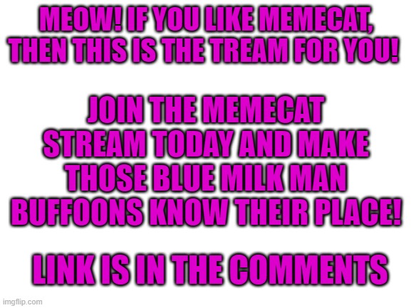 Blank White Template | MEOW! IF YOU LIKE MEMECAT, THEN THIS IS THE TREAM FOR YOU! JOIN THE MEMECAT STREAM TODAY AND MAKE THOSE BLUE MILK MAN BUFFOONS KNOW THEIR PLACE! LINK IS IN THE COMMENTS | image tagged in blank white template | made w/ Imgflip meme maker