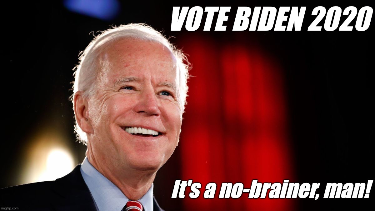 BIDEN 2020 NO-BRAINER | VOTE BIDEN 2020; It's a no-brainer, man! | image tagged in biden 2020,2020 elections | made w/ Imgflip meme maker