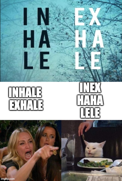 This meme is not dead yet... | INEX
HAHA
LELE; INHALE 
EXHALE | image tagged in memes,woman yelling at cat,funny,frontpage,front page | made w/ Imgflip meme maker