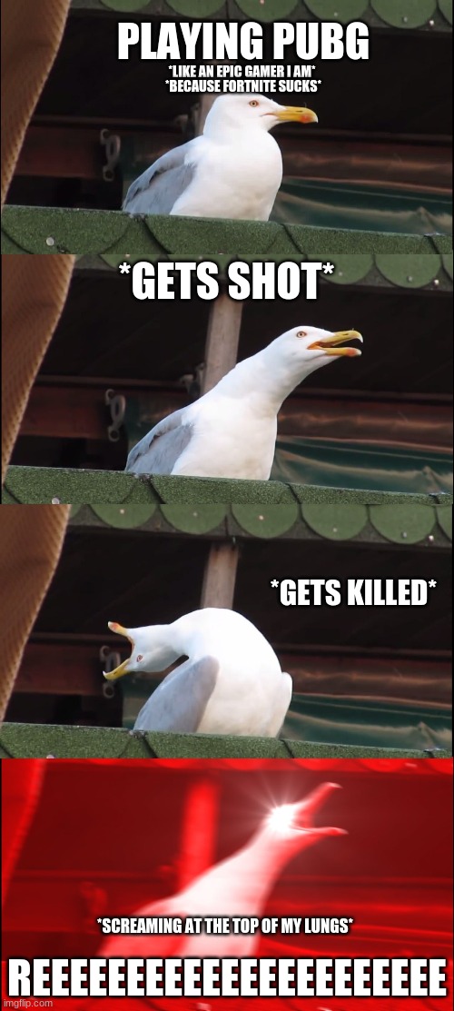 Inhaling Seagull Meme | PLAYING PUBG; *LIKE AN EPIC GAMER I AM*; *BECAUSE FORTNITE SUCKS*; *GETS SHOT*; *GETS KILLED*; *SCREAMING AT THE TOP OF MY LUNGS*; REEEEEEEEEEEEEEEEEEEEEE | image tagged in memes,inhaling seagull | made w/ Imgflip meme maker
