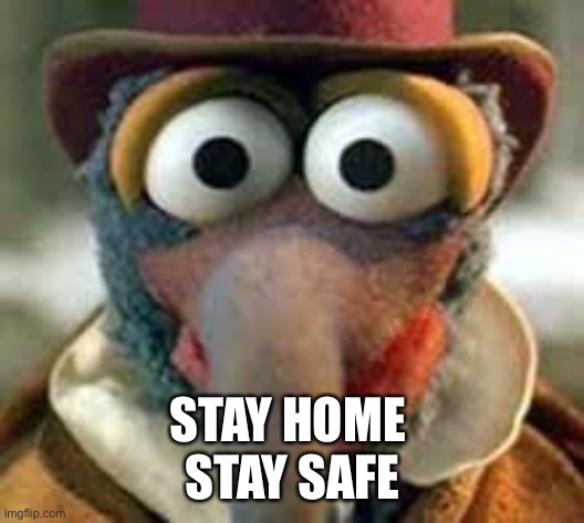 Luvismemes |  STAY HOME 
STAY SAFE | image tagged in gonzo | made w/ Imgflip meme maker